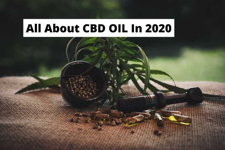 All About CBD OIL In 2020