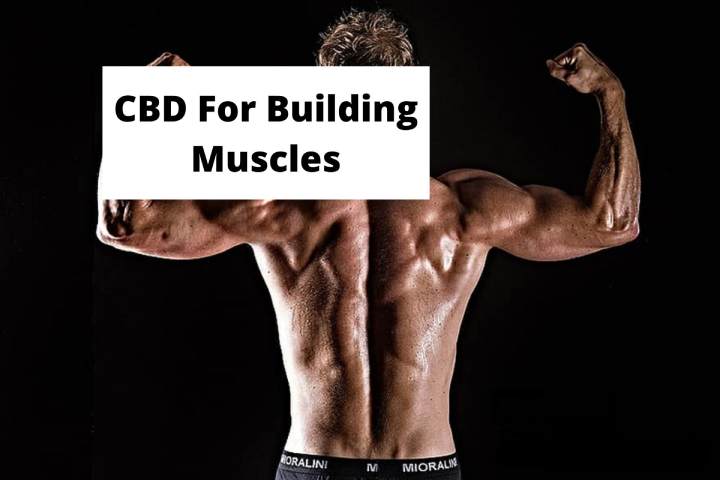 CBD For Building Muscles
