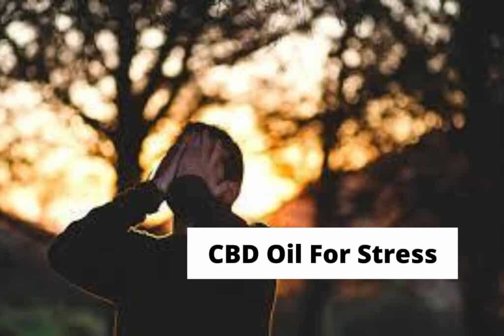 CBD Oil For Stress